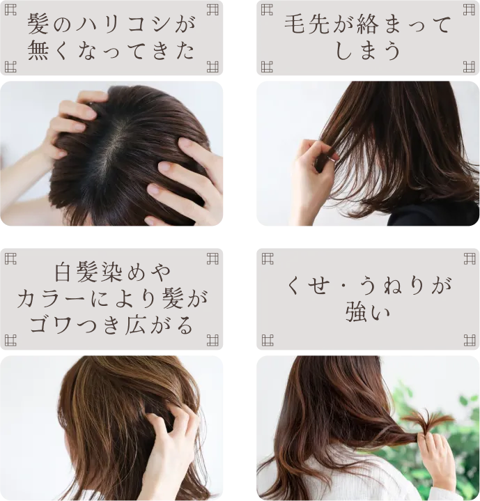 髪のハリコシが無くなってきた、毛先が絡まってしまう、白髪染めやカラーにより髪がゴワつき広がる、くせ・うねりが強い