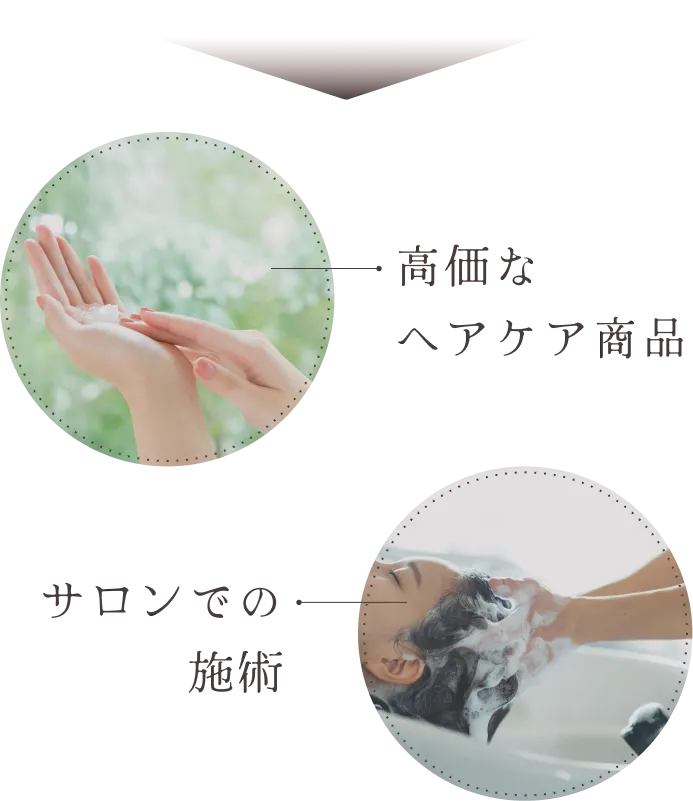 高価なヘアケア商品、サロンでの施術