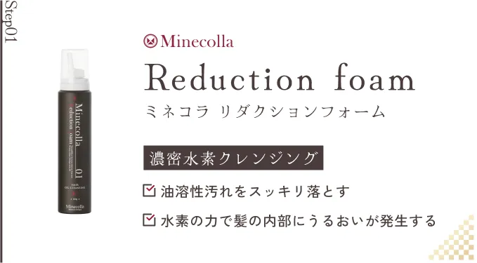 【step01】ミネコラ リダクションフォーム